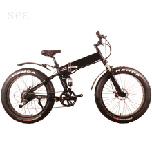 China top ten electric bikes/elec bikes for sale/battery bikes for sale